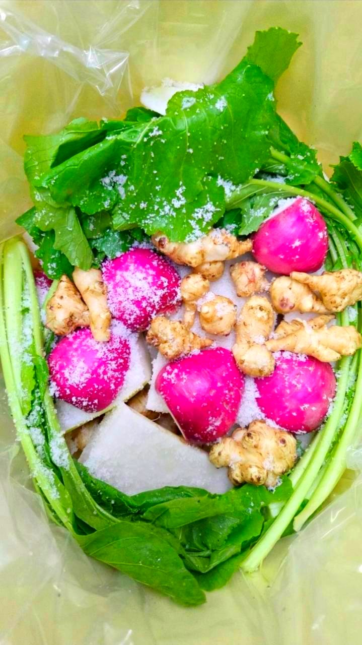 塩とともに仕込む、かぶや菊芋などの冬野菜